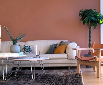 The expert’s best tip: How to color your home